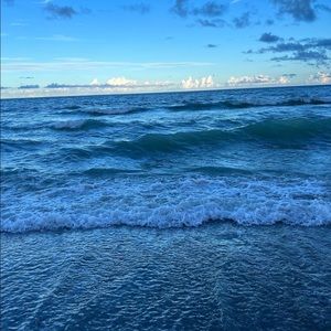 Meet your Posher, Theo